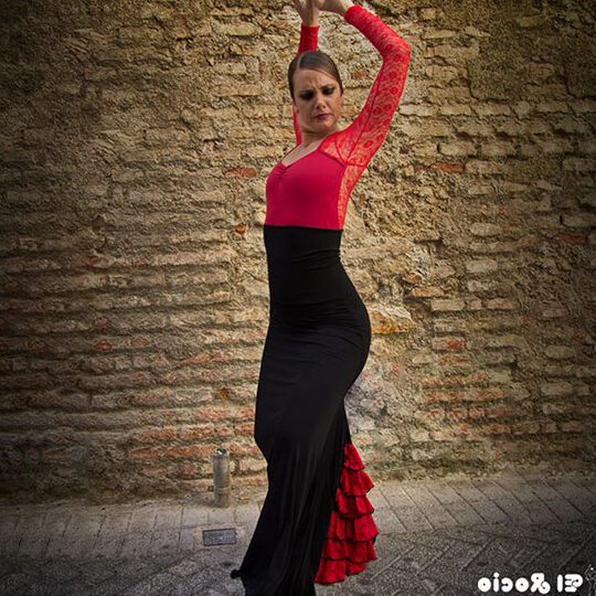 ¿Cómo se baila la danza del flamenco?